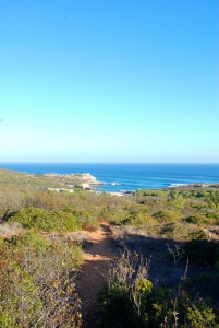 Path towards Praia Ingrina